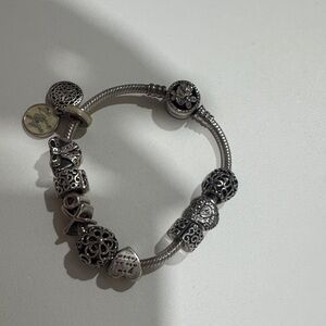 Pandora Silver Poetic Blooms clasp charm bracelet